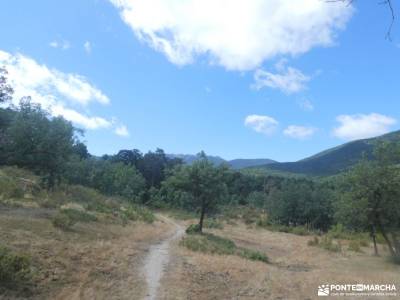 Monte de Valsaín, Río Eresma -Pesquerías Reales;guia senderismo revistas de senderismo rutas de send